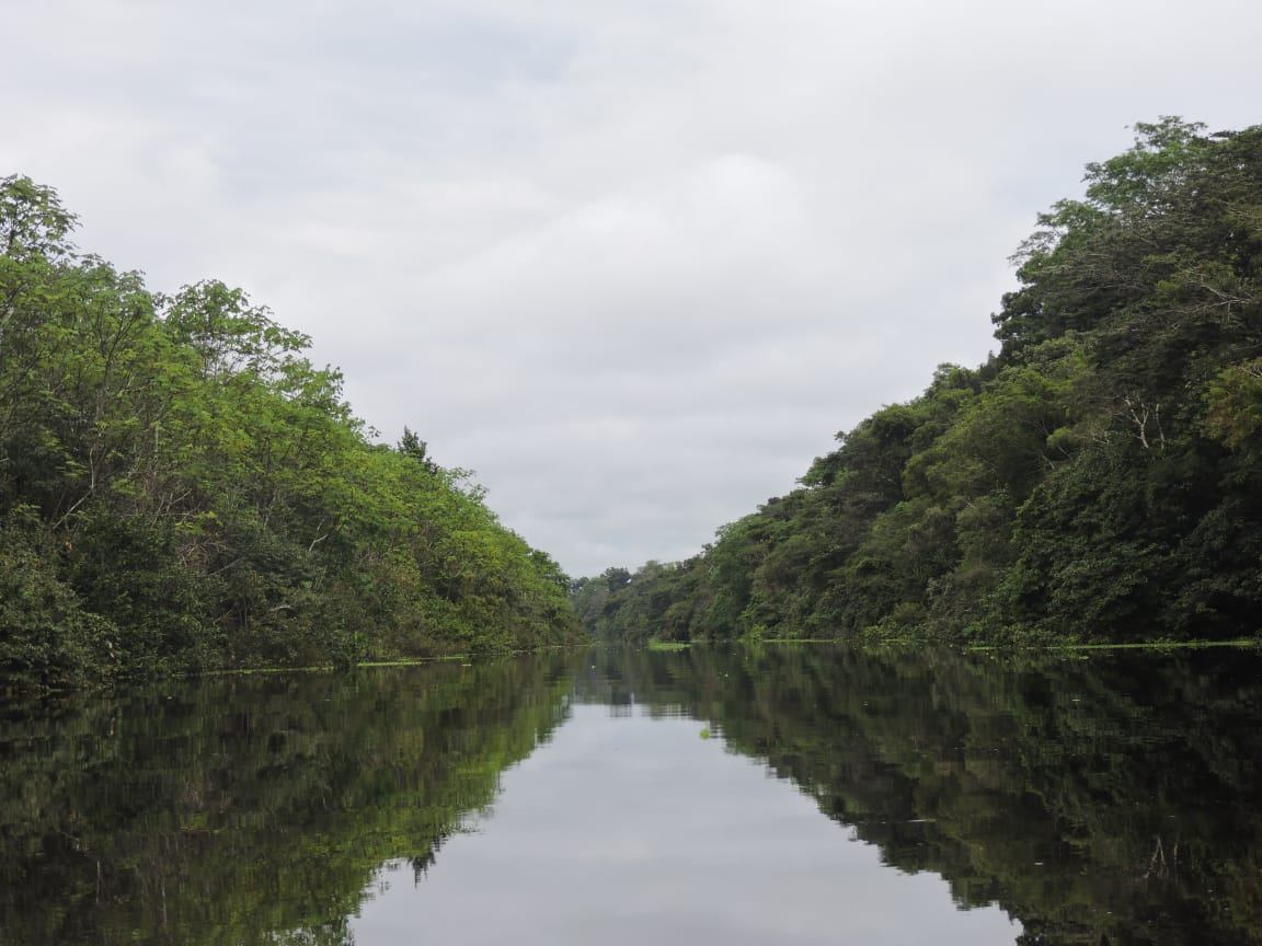 Slide Image